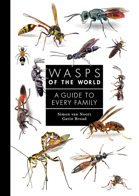 Wasps of the World