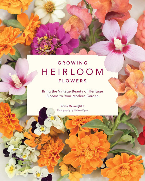 Growing Heirloom Flowers: Bring the Vintage Beauty of Heritage Blooms