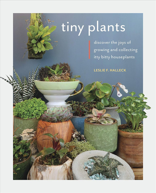 Tiny Plants: Discover the joys of growing and collecting itty-bitty