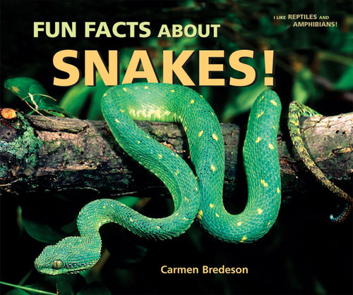 Fun Facts About Snakes! (I Like Reptiles and Amphibians!)