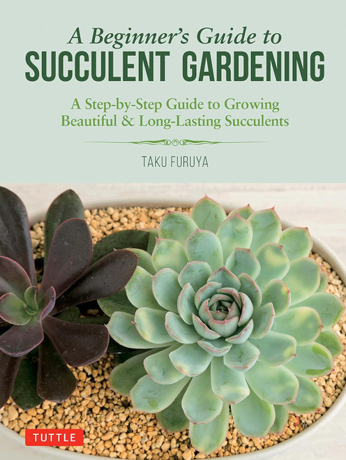 A Beginner's Guide to Succulent Gardening