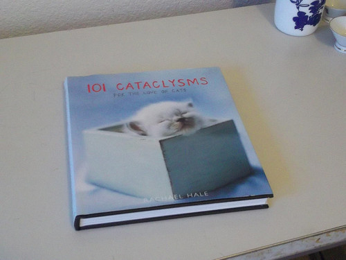 101 Cataclysms: For the Love of Cats