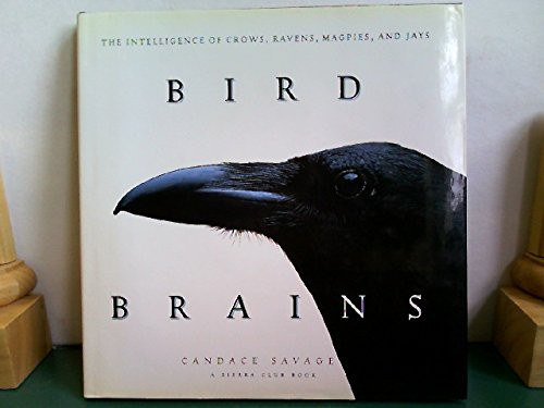 Bird Brains: The Intelligence of Crows Ravens Magpies and Jays
