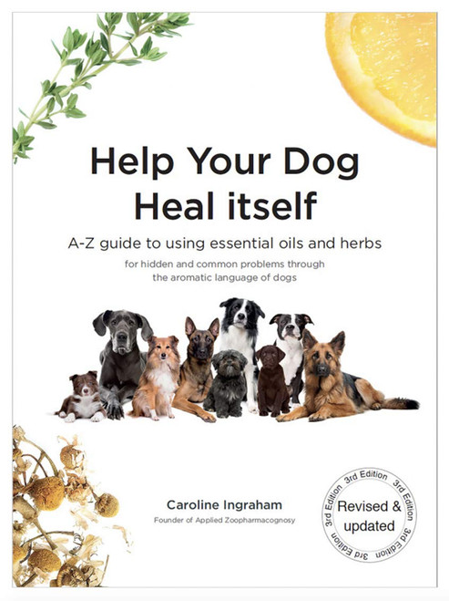 Help Your Dog Heal Itself