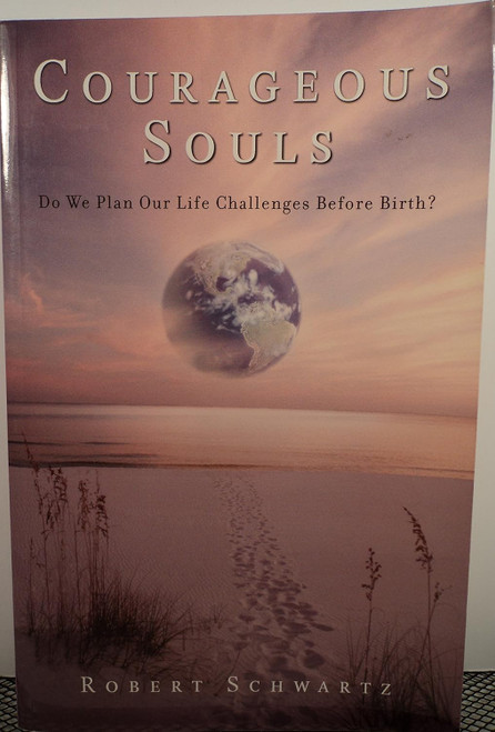 Courageous Souls: Do We Plan Our Life Challenges Before Birth?