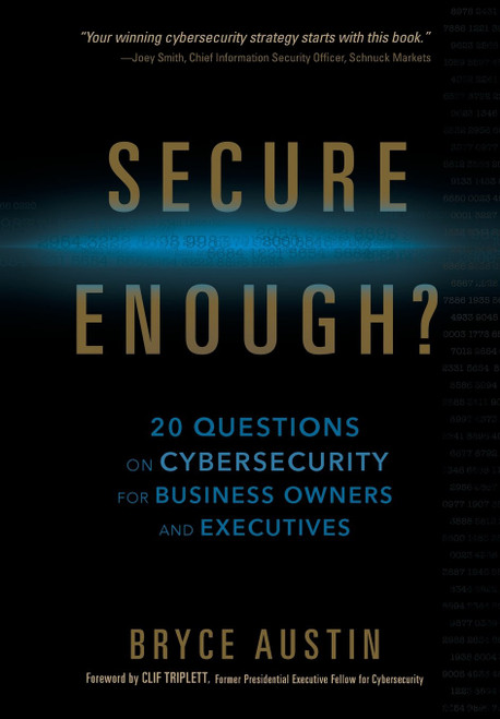 Secure Enough?: 20 Questions on Cybersecurity for Business Owners and