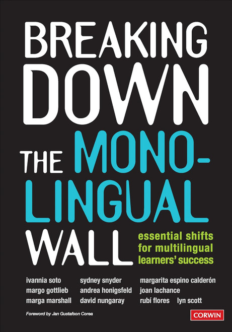 Breaking Down the Monolingual Wall: Essential Shifts for Multilingual