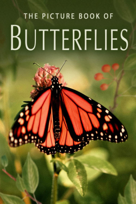 The Picture Book of Butterflies: A Gift Book for Alzheimer's Patients