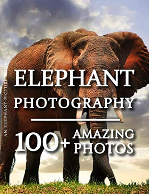 Elephant Picture Book - Elephant Photography