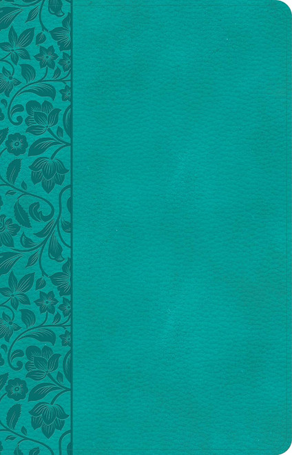 CSB Large Print Personal Size Reference Bible Teal LeatherTouch Red
