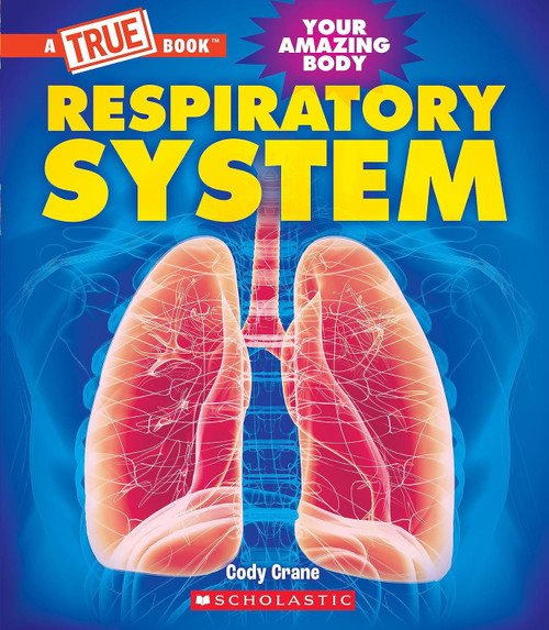 Respiratory System