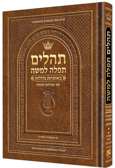 Hebrew Only Large Type Tehillim with English Introductions