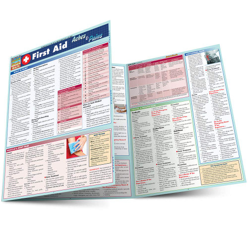 First Aid: Aches & Pains (Quick Study Health)