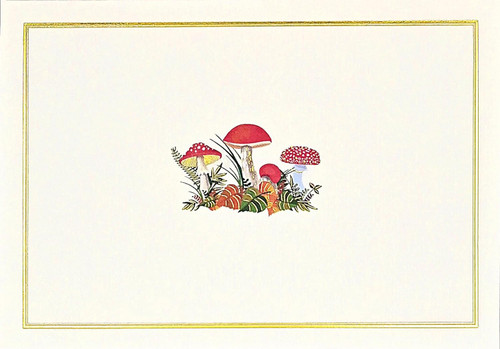 Mushrooms Note Cards (14 cards 15 self-sealing envelopes)