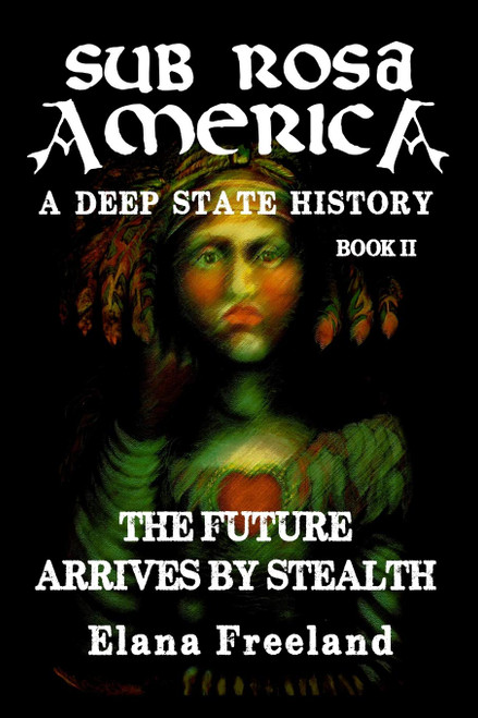 Sub Rosa America Book Ii: the Future Arrives by Stealth