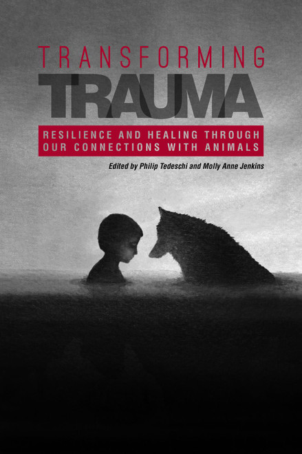 Transforming Trauma: Resilience and Healing Through Our Connections