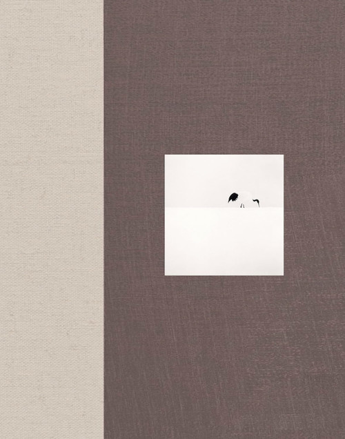 Japan / A Love Story