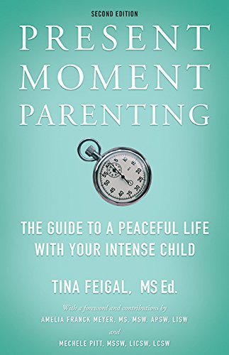 Present Moment Parenting: The Guide to a Peaceful Life with Your