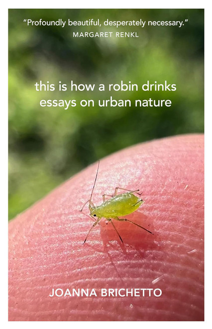 This Is How a Robin Drinks: Essays on Urban Nature