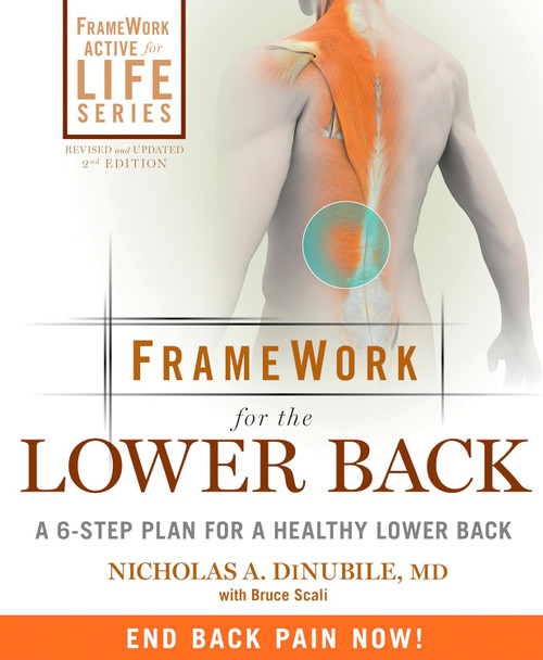 Framework for the Lower Back