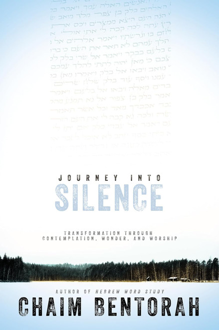 Journey into Silence: Transformation Through Contemplation Wonder and