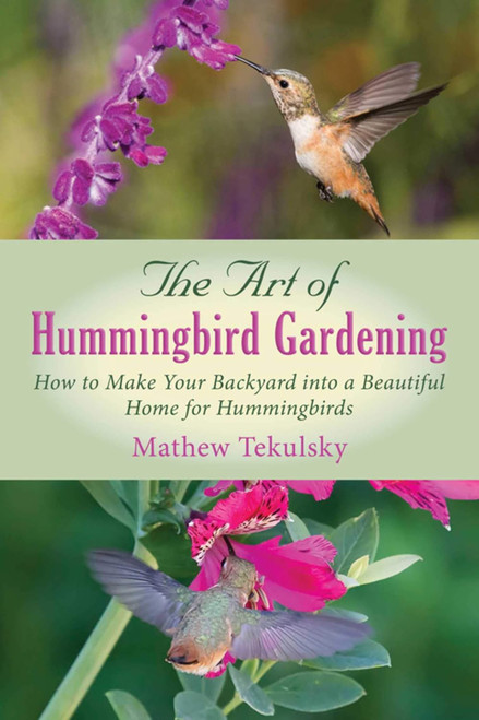 Art of Hummingbird Gardening: How to Make Your Backyard into a