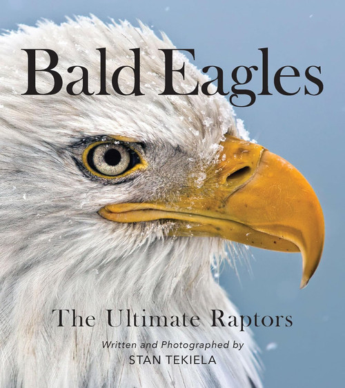 Bald Eagles: The Ultimate Raptors (Favorite Wildlife)