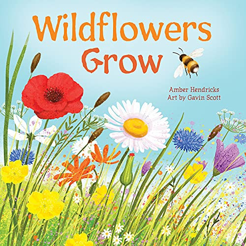Wildflowers Grow (Little Nature Explorers)
