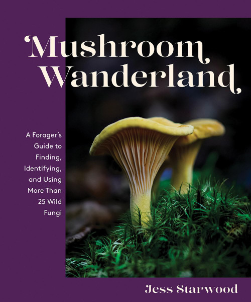 Mushroom Wanderland: A Forager's Guide to Finding Identifying and