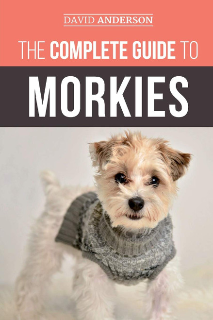The Complete Guide to Morkies