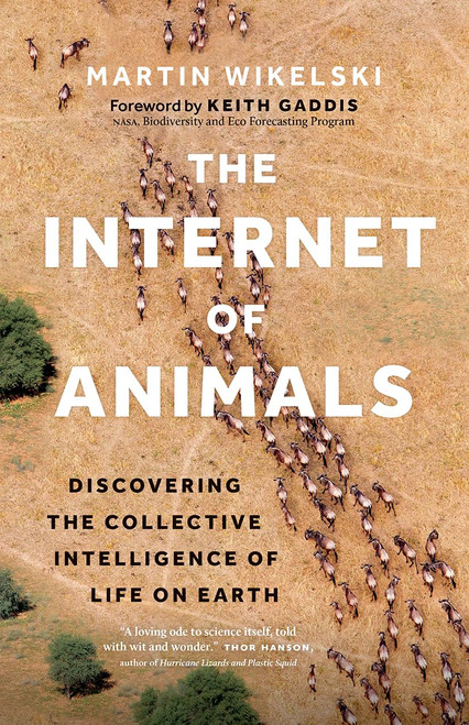 The Internet of Animals: Discovering the Collective Intelligence of