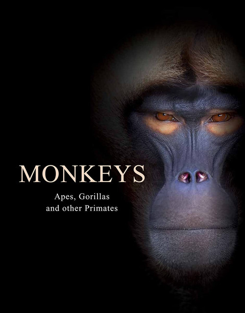 Monkeys: Apes Gorillas and Other Primates