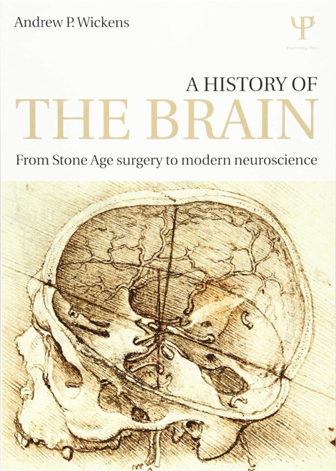 A History of the Brain