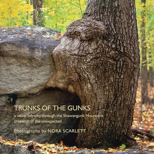 Trunks of the Gunks: A Visual Odyssey through the Shawangunk