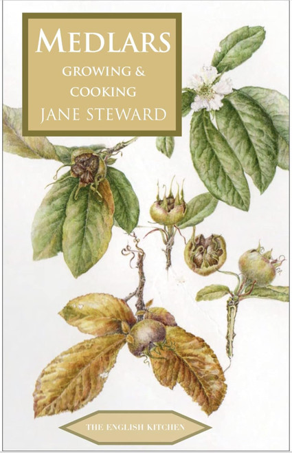 Medlars - Growing and Cooking (The English Kitchen 30)