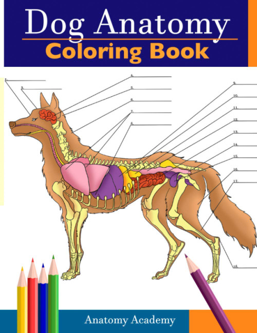 Dog Anatomy Coloring Book