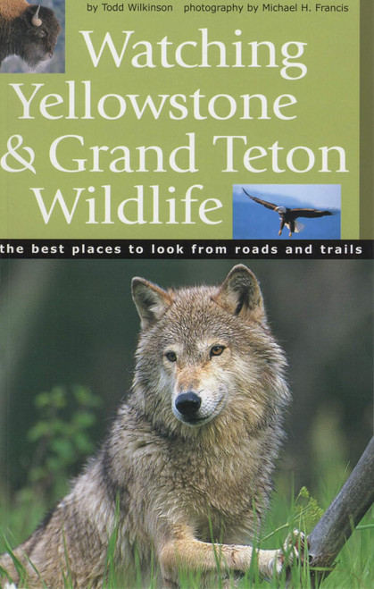 Watching Yellowstone And Grand Teton Wildlife: The Best Places to