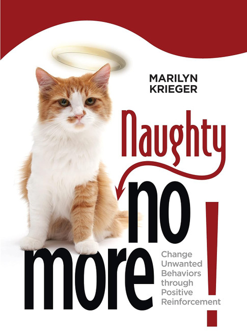 Naughty No More!: Change Unwanted Behaviors through Positive