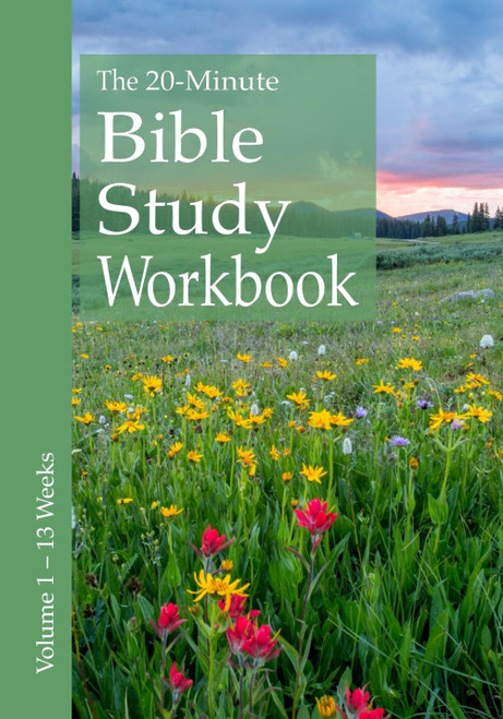 The 20-Minute Bible Study Workbook - Volume 1: John Romans Ruth