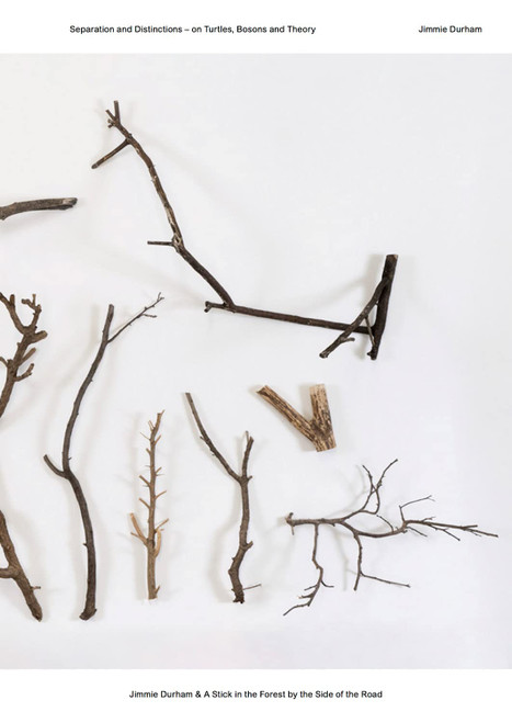 Jimmie Durham: A Stick in the Forest by the Side of the Road