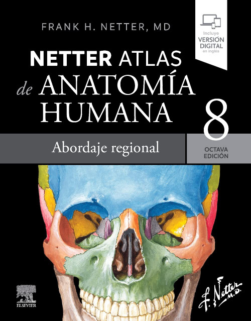 Netter. Atlas de anatomia humana. Abordaje regional