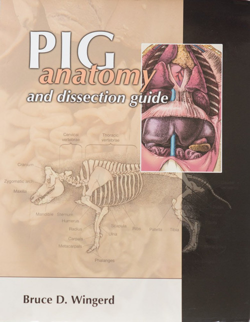 PIG anatomy and dissection guide