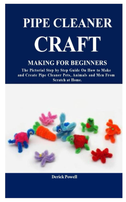 Pipe Cleaner Craft Making for Beginners