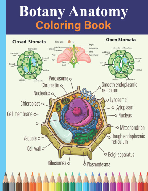 Botany Anatomy Coloring Book