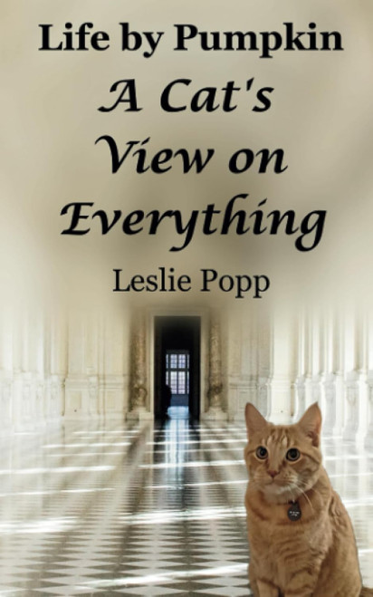 Life by Pumpkin: A Cat's View on Everything