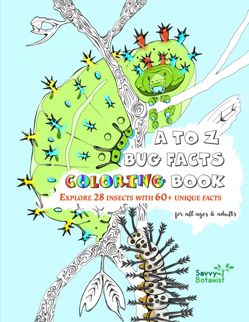 A to Z Bug Facts Coloring Book