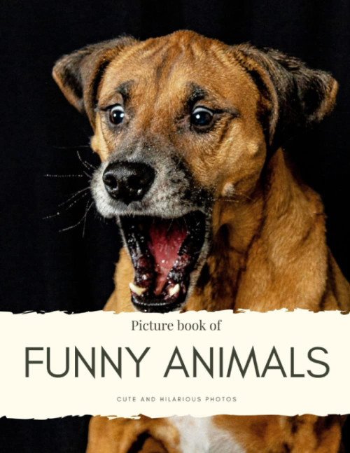 Picture Book of Funny Animals