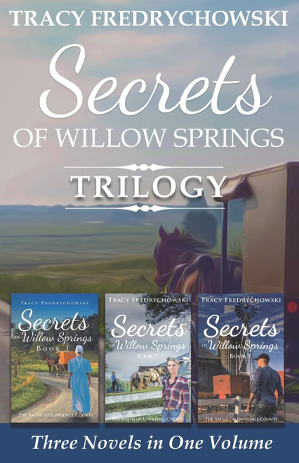 Secrets of Willow Springs Trilogy: Amish Mystery Series - Three