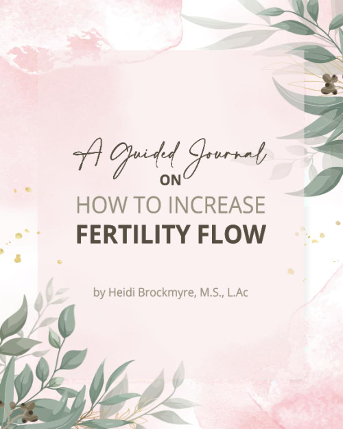 A Guided Journal on How To Increase Fertility Flow
