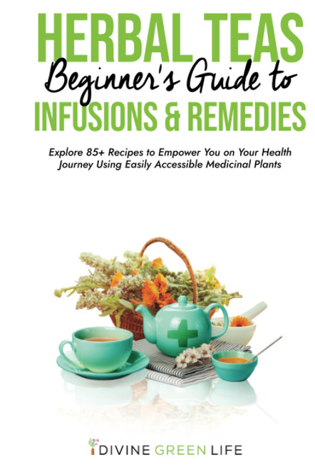 Beginners Guide to Herbal Teas Infusions & Remedies